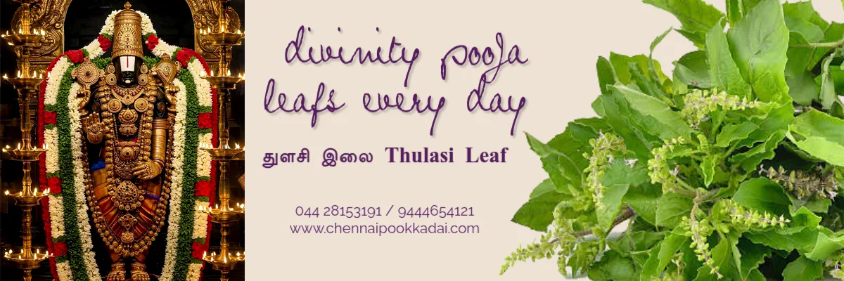 Chennai Pookkadai Flower Shop Pooja Leaves துளசி இலை Thulasi Leaf