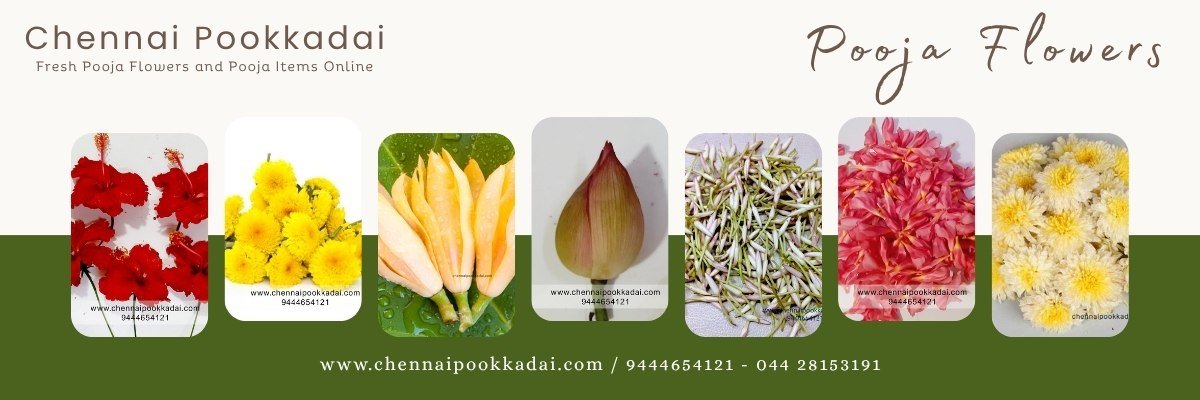 pooja flowers online pooja flowers online near chennai Pooja flowers online chennai Pooja flowers online near me Pooja flowers online chennai Loose flowers online Puja flowers home Delivery near me Pooja flowers online delivery Pooja flowers online chennai price Pooja flowers online chennai delivery Pooja flowers online chennai app