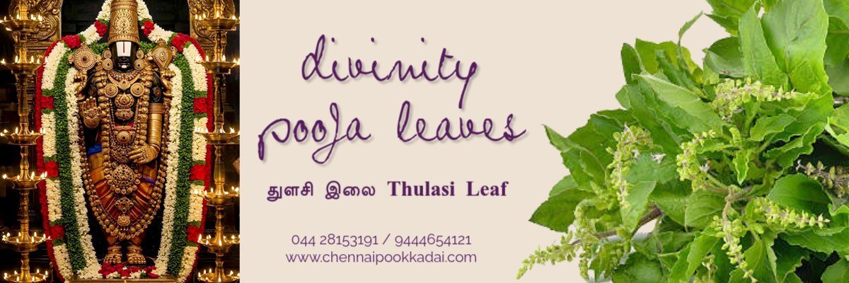 Chennai Pookkadai Flower Shop Pooja Leaves துளசி இலை Thulasi Leaf