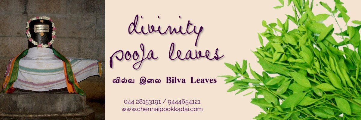 Chennai Pookkadai Flower Shop Pooja Leaves வில்வ இலை Bilva Leaves