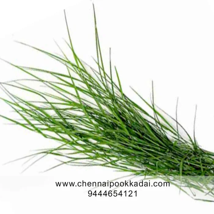 puja flowers home delivery near me,Loose flowers for pooja online wholesale, Loose flowers for pooja online near me, Loose flowers for pooja online chennai, loose flowers online near me, pooja flowers online delivery, daily flower delivery for pooja, pooja flowers near me