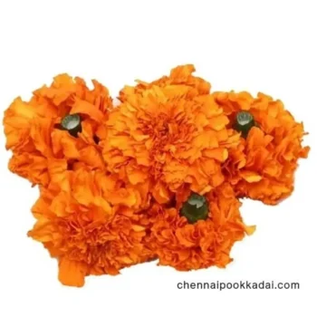 pooja flowers online chennai,puja flowers home delivery near me,loose flowers for pooja online,loose flowers online near me,Pooja flowers online chennai price,Cheap pooja flowers online chennai,daily flower delivery for pooja,pooja flowers online delivery chennai,Pooja flowers online chennai app