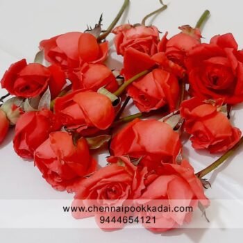pooja flowers online chennai,puja flowers home delivery near me,loose flowers for pooja online,loose flowers online near me,Pooja flowers online chennai price,Cheap pooja flowers online chennai,daily flower delivery for pooja,pooja flowers online delivery chennai,Pooja flowers online chennai app