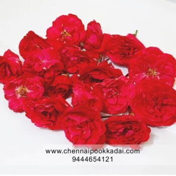 pooja flowers online chennai,puja flowers home delivery near me,loose flowers for pooja online,loose flowers online near me,Pooja flowers online chennai price,Cheap pooja flowers online chennai,daily flower delivery for pooja,pooja flowers online delivery chennai,Pooja flowers online chennai app