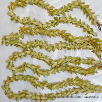 pooja flowers online chennai,puja flowers home delivery near me,loose flowers for pooja online,loose flowers online near me,Pooja flowers online chennai price,Cheap pooja flowers online chennai,daily flower delivery for pooja,pooja flowers online delivery chennai,Pooja flowers online chennai app