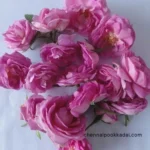 pooja flowers online chennai,puja flowers home delivery near me,loose flowers for pooja online,loose flowers online near me,Pooja flowers online chennai price,Cheap pooja flowers online chennai,daily flower delivery for pooja,pooja flowers online delivery chennai,Pooja flowers online chennai app