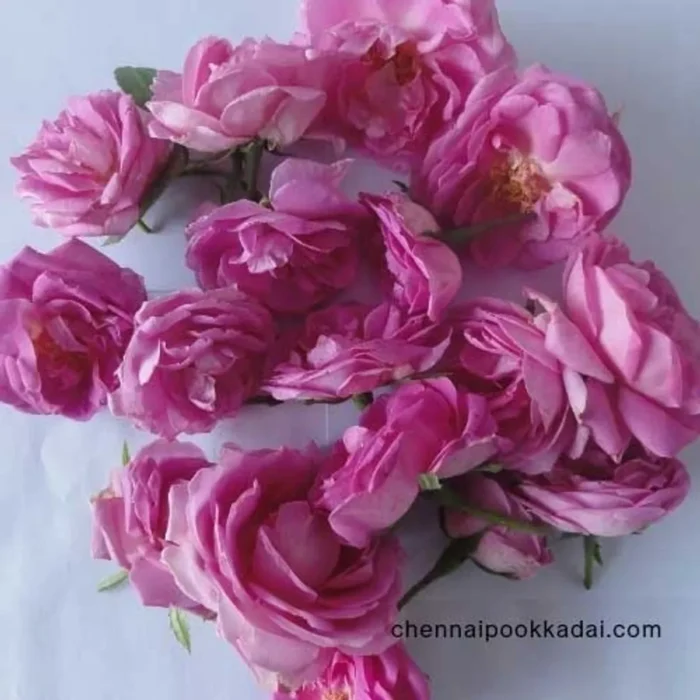 pooja flowers online chennai,puja flowers home delivery near me,loose flowers for pooja online,loose flowers online near me,Pooja flowers online chennai price,Cheap pooja flowers online chennai,daily flower delivery for pooja,pooja flowers online delivery chennai,Pooja flowers online chennai app