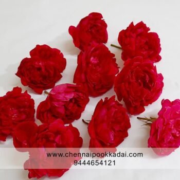 pooja flowers online chennai,puja flowers home delivery near me,loose flowers for pooja online,loose flowers online near me,Pooja flowers online chennai price,Cheap pooja flowers online chennai,daily flower delivery for pooja,pooja flowers online delivery chennai,Pooja flowers online chennai app