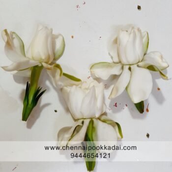 pooja flowers online chennai,puja flowers home delivery near me,loose flowers for pooja online,loose flowers online near me,Pooja flowers online chennai price,Cheap pooja flowers online chennai,daily flower delivery for pooja,pooja flowers online delivery chennai,Pooja flowers online chennai app