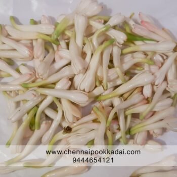 pooja flowers online chennai,puja flowers home delivery near me,loose flowers for pooja online,loose flowers online near me,Pooja flowers online chennai price,Cheap pooja flowers online chennai,daily flower delivery for pooja,pooja flowers online delivery chennai,Pooja flowers online chennai app