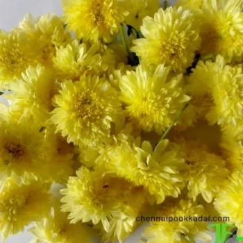pooja flowers online chennai,puja flowers home delivery near me,loose flowers for pooja online,loose flowers online near me,Pooja flowers online chennai price,Cheap pooja flowers online chennai,daily flower delivery for pooja,pooja flowers online delivery chennai,Pooja flowers online chennai app
