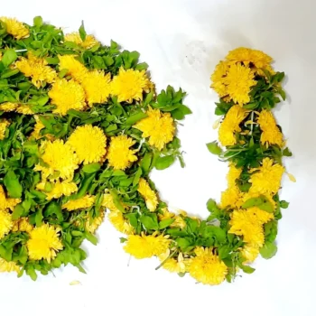 pooja flowers online chennai,puja flowers home delivery near me,loose flowers for pooja online,loose flowers online near me,Pooja flowers online chennai price,Cheap pooja flowers online chennai,daily flower delivery for pooja,pooja flowers online delivery chennai,Pooja flowers online chennai app