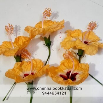 pooja flowers online chennai,puja flowers home delivery near me,loose flowers for pooja online,loose flowers online near me,Pooja flowers online chennai price,Cheap pooja flowers online chennai,daily flower delivery for pooja,pooja flowers online delivery chennai,Pooja flowers online chennai app