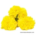 pooja flowers online chennai,puja flowers home delivery near me,loose flowers for pooja online,loose flowers online near me,Pooja flowers online chennai price,Cheap pooja flowers online chennai,daily flower delivery for pooja,pooja flowers online delivery chennai,Pooja flowers online chennai app