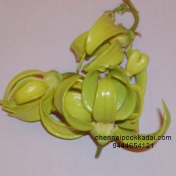 pooja flowers online chennai,puja flowers home delivery near me,loose flowers for pooja online,loose flowers online near me,Pooja flowers online chennai price,Cheap pooja flowers online chennai,daily flower delivery for pooja,pooja flowers online delivery chennai,Pooja flowers online chennai app