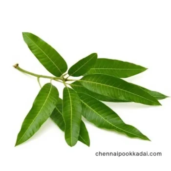 pooja flowers online chennai,puja flowers home delivery near me,loose flowers for pooja online,loose flowers online near me,Pooja flowers online chennai price,Cheap pooja flowers online chennai,daily flower delivery for pooja,pooja flowers online delivery chennai,Pooja flowers online chennai app