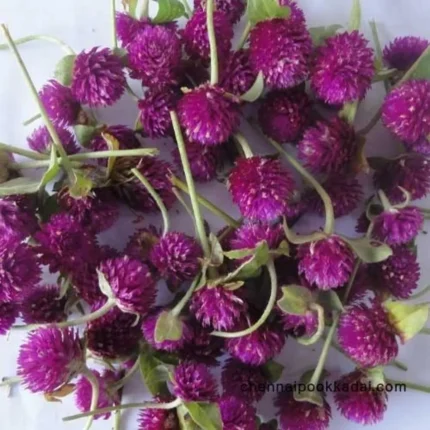 pooja flowers online chennai,puja flowers home delivery near me,loose flowers for pooja online,loose flowers online near me,Pooja flowers online chennai price,Cheap pooja flowers online chennai,daily flower delivery for pooja,pooja flowers online delivery chennai,Pooja flowers online chennai app