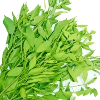 puja flowers home delivery near me,Loose flowers for pooja online wholesale, Loose flowers for pooja online near me, Loose flowers for pooja online chennai, loose flowers online near me, pooja flowers online delivery, daily flower delivery for pooja, pooja flowers near me