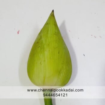 pooja flowers online chennai,puja flowers home delivery near me,loose flowers for pooja online,loose flowers online near me,Pooja flowers online chennai price,Cheap pooja flowers online chennai,daily flower delivery for pooja,pooja flowers online delivery chennai,Pooja flowers online chennai app