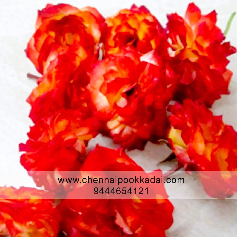 double color orange button rose இரட்டை வண்ண ஆரஞ்சு பொத்தான் ரோஜா pooja flowers online chennai,puja flowers home delivery near me,loose flowers for pooja online,loose flowers online near me,Pooja flowers online chennai price,Cheap pooja flowers online chennai,daily flower delivery for pooja,pooja flowers online delivery chennai,Pooja flowers online chennai app