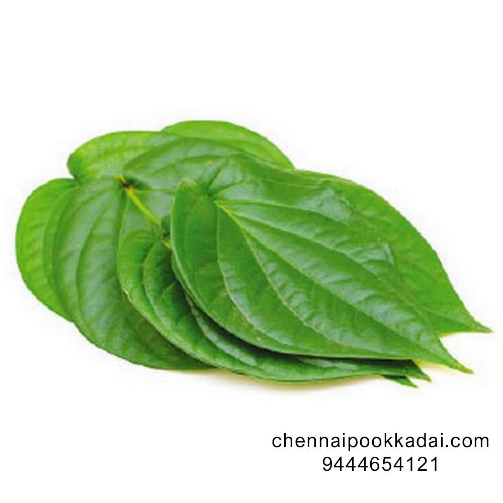 வெற்றிலை Betel leaf Today's Best Offers Pooja strings online delivery chennai Today's Best Offers Pooja strings online delivery chennai price Best Offers for Pooja strings online delivery chennai near me Best Offers for Flower strings online Best Offers for Order Fresh Jasmine flowers online Today Offers Pooja delivery Today Best Offers Order fresh flowers online