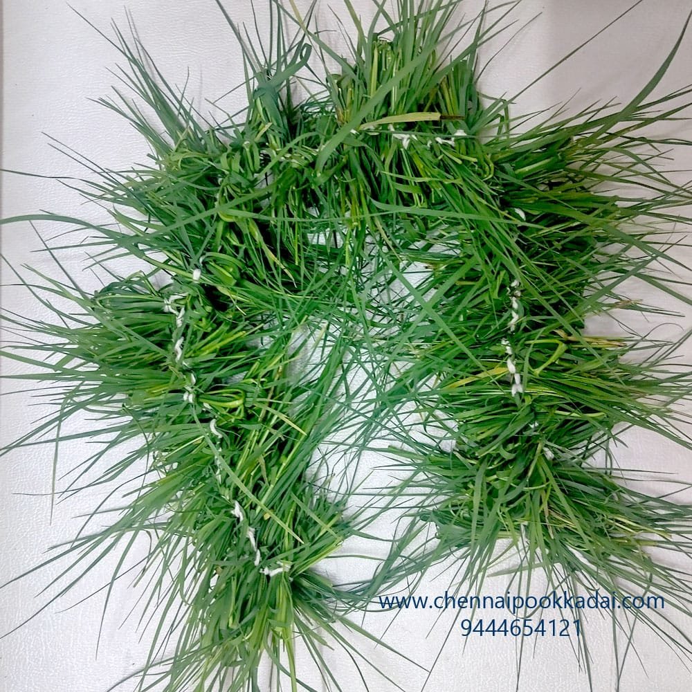 அருகம்புல் சரம் pooja flowers online chennai,puja flowers home delivery near me,loose flowers for pooja online,loose flowers online near me,Pooja flowers online chennai price,Cheap pooja flowers online chennai,daily flower delivery for pooja,pooja flowers online delivery chennai,Pooja flowers online chennai app puja flowers home delivery near me,Loose flowers for pooja online wholesale, Loose flowers for pooja online near me, Loose flowers for pooja online chennai, loose flowers online near me, pooja flowers online delivery, daily flower delivery for pooja, pooja flowers near me