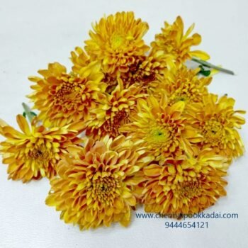 ஆரஞ்சு கலப்பின சாமந்தி Orange Hybrid Samanthi