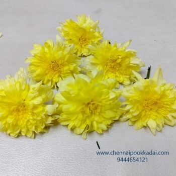மஞ்சள் கலப்பின சாமந்தி Yellow Hybrid Samanthi