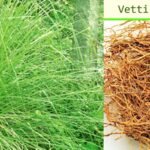பணம் சரளமாக புழங்கணுமா