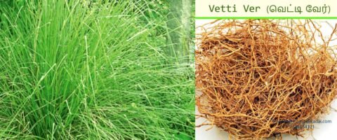 பணம் சரளமாக புழங்கணுமா