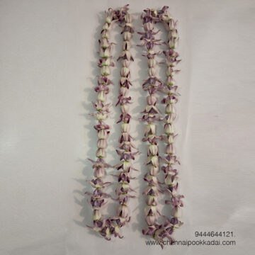 எதிர்மறை சக்திகளை விரட்டும்