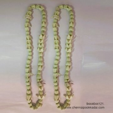 விநாயகர் சதுர்த்தி போன்ற விசேஷ நாட்களில் விநாயகருக்கு அணிவிப்பது வழக்கம். மேலும், இந்த மாலை தீய சக்திகளை விலக்கும், எதிர்மறை ஆற்றல்களை நீக்கும் மற்றும் அதிர்ஷ்டத்தைத் தரும் என்று நம்பப்படுகிறது.