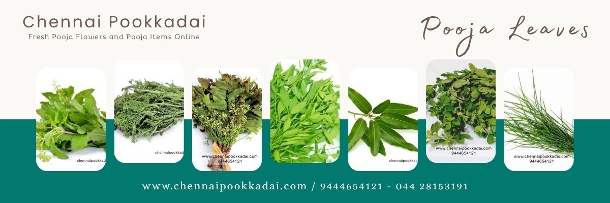 pooja flowers online pooja flowers online near chennai Pooja flowers online chennai Pooja flowers online near me Pooja flowers online chennai Loose flowers online Puja flowers home Delivery near me Pooja flowers online delivery Pooja flowers online chennai price Pooja flowers online chennai delivery Pooja flowers online chennai app